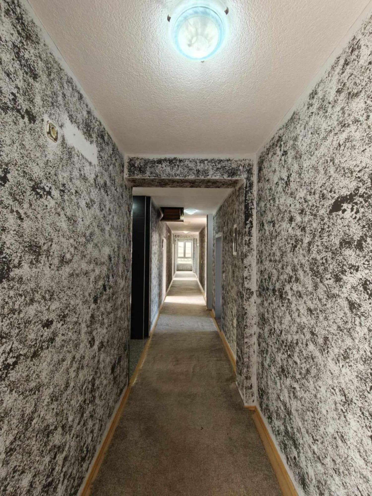 Hotel Ariston ستروغا المظهر الخارجي الصورة